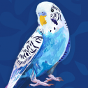 Beakology 1031