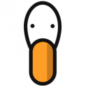 Goose 1381