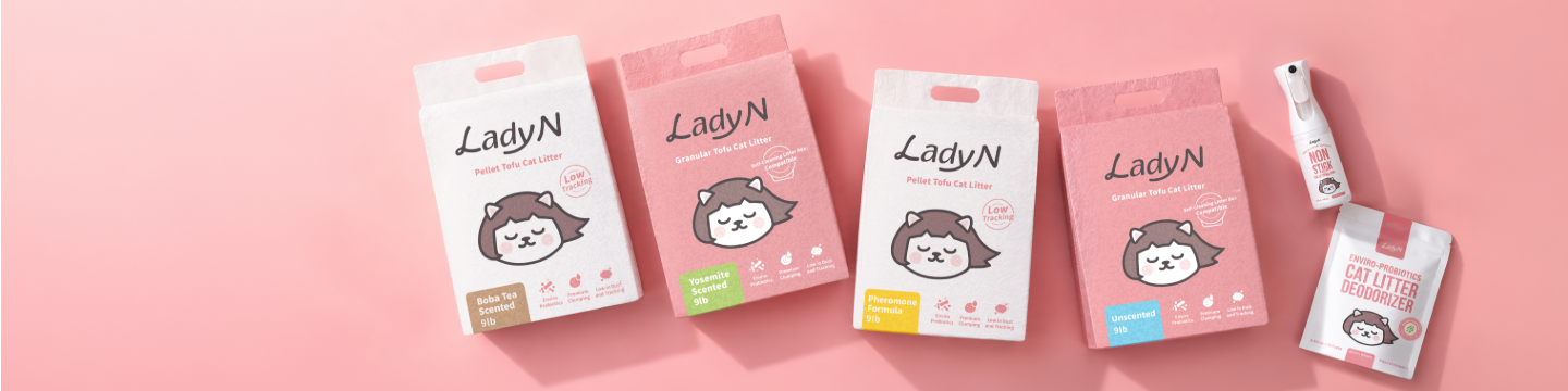 Lady N 228