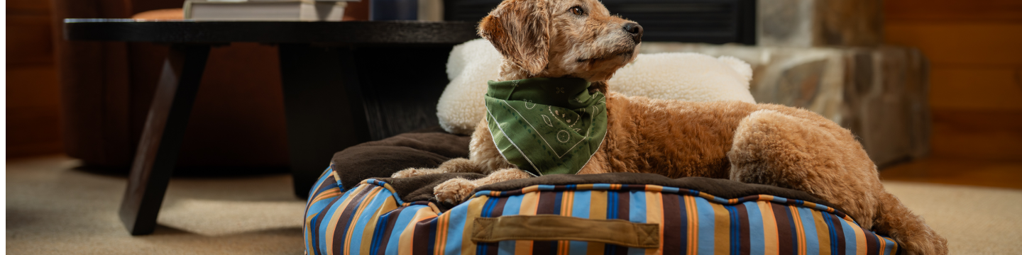 Carolina Pet Company LLC 62