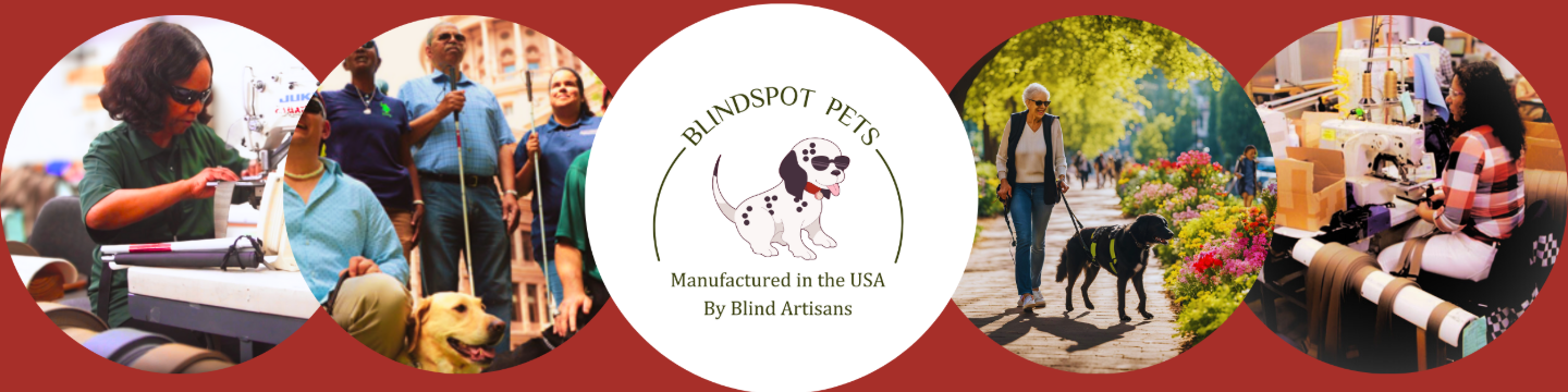 Blind Spot 738