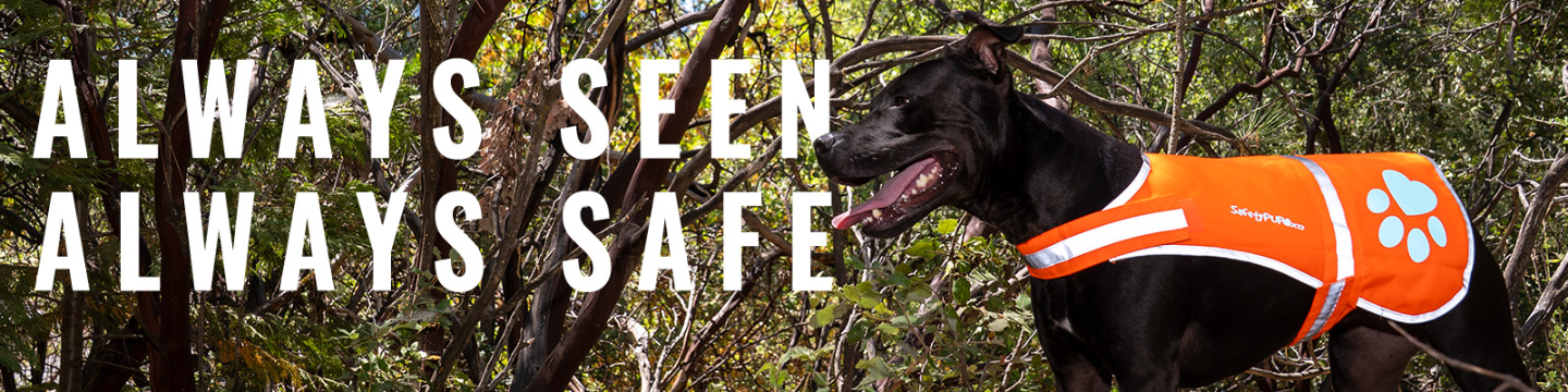 SafetyPUP XD 759
