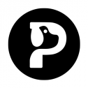 Palz&Co 87