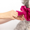 Fleur de Leash 903
