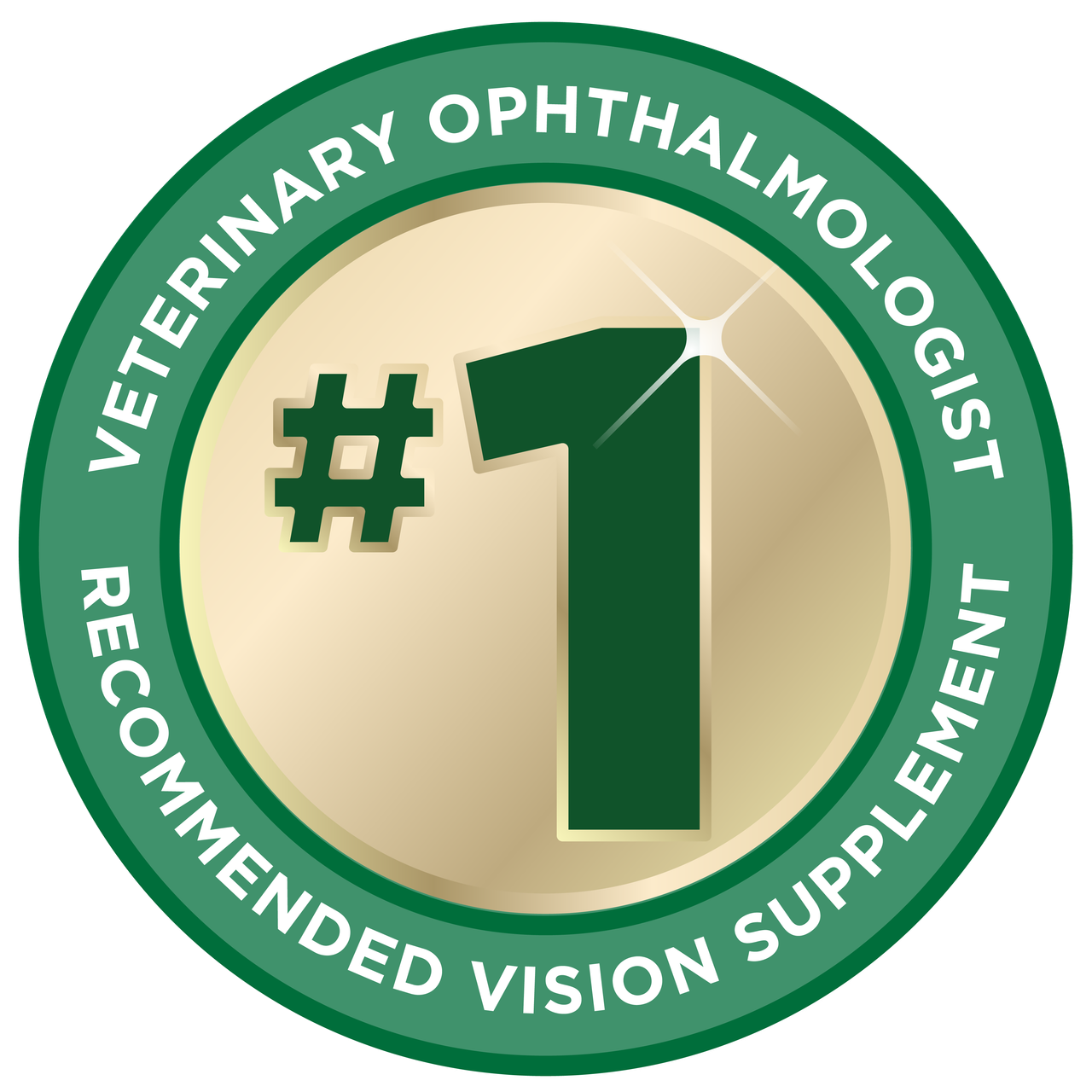 Complimentary Eye Exams / Enter to win Meta Glasses 1023