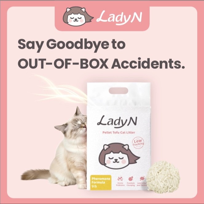 Pheromone Tofu Litter | Standard Box 401