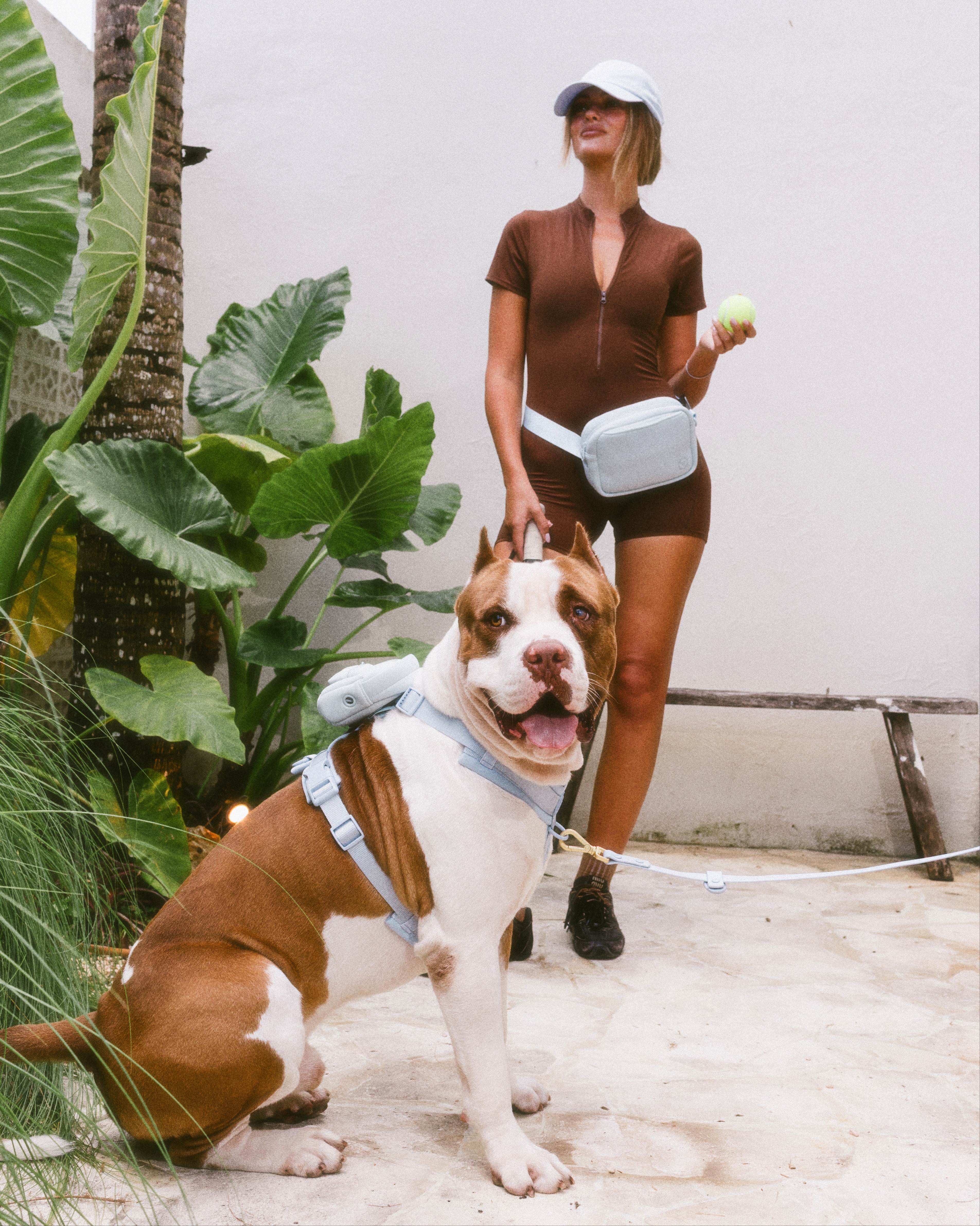 Furry Muse Athletic Club - Active Accessories for Dogs (and Their Humans) 439