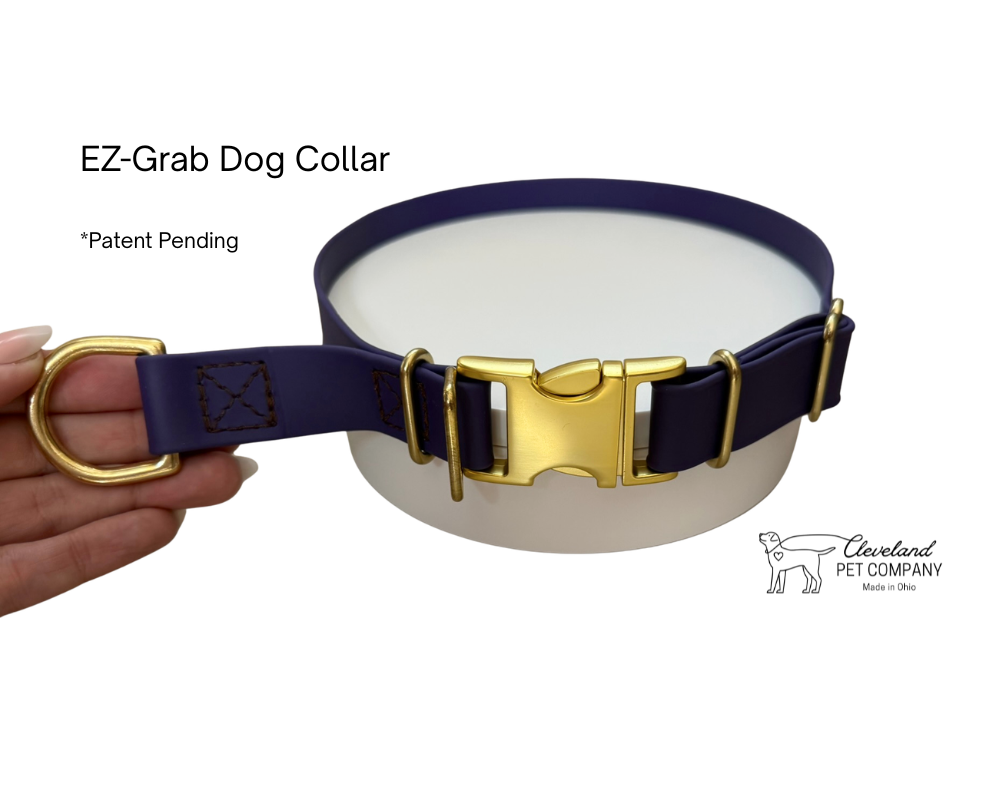 EZ-Grab Dog Collar 529