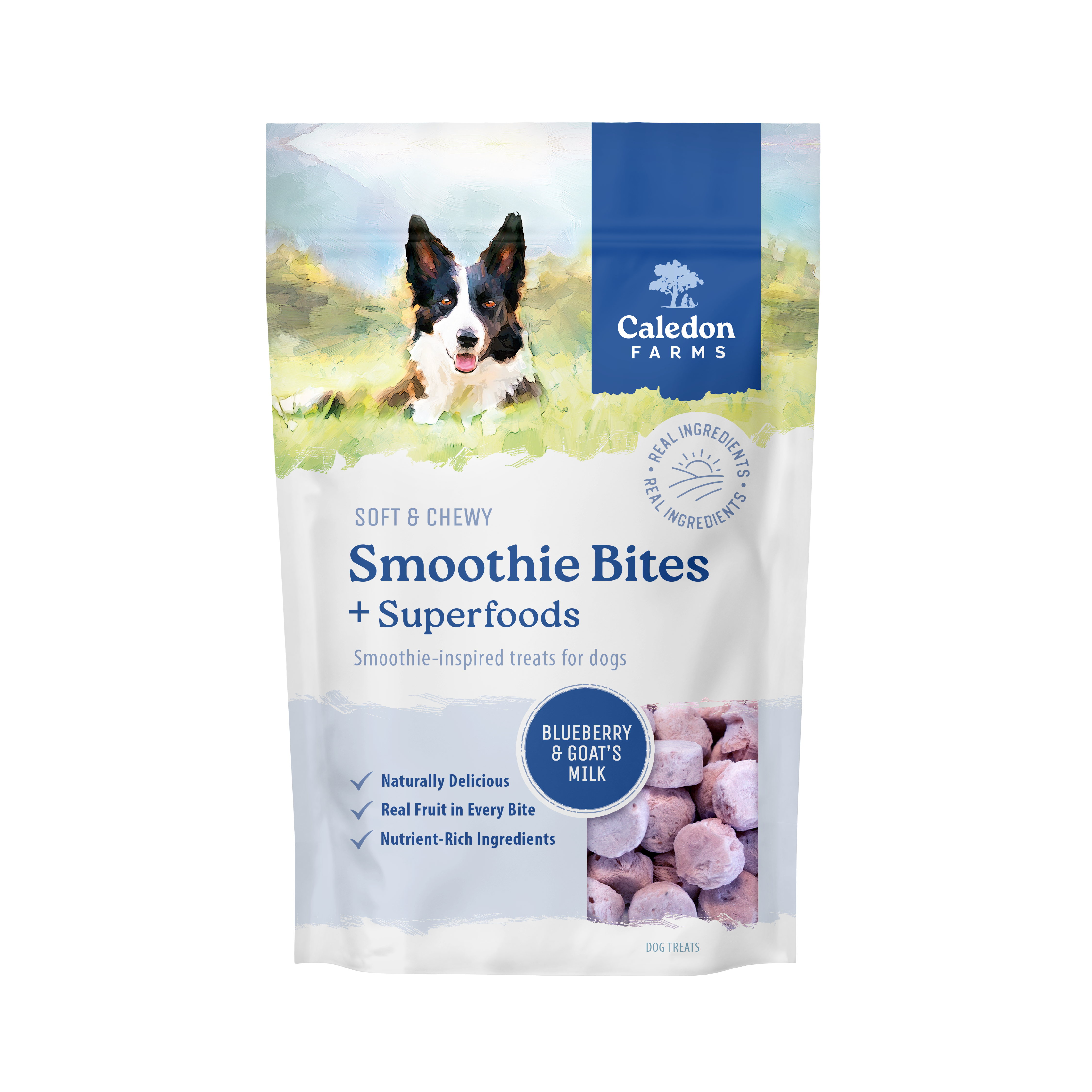 Smart Trainers + Omega-3 & Smoothie Bites + Superfoods 573