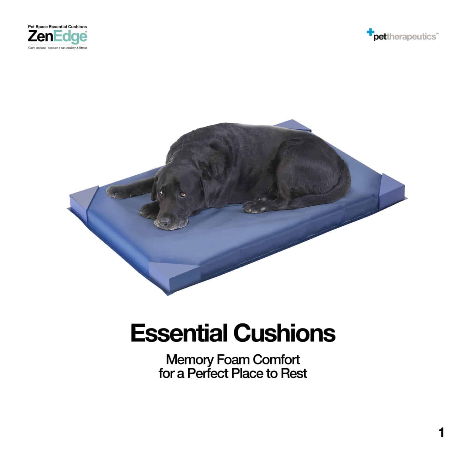 Essential Cushions 983