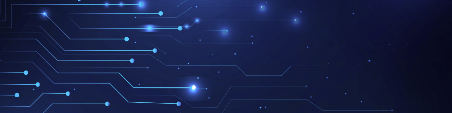 BroadBand International Inc 163