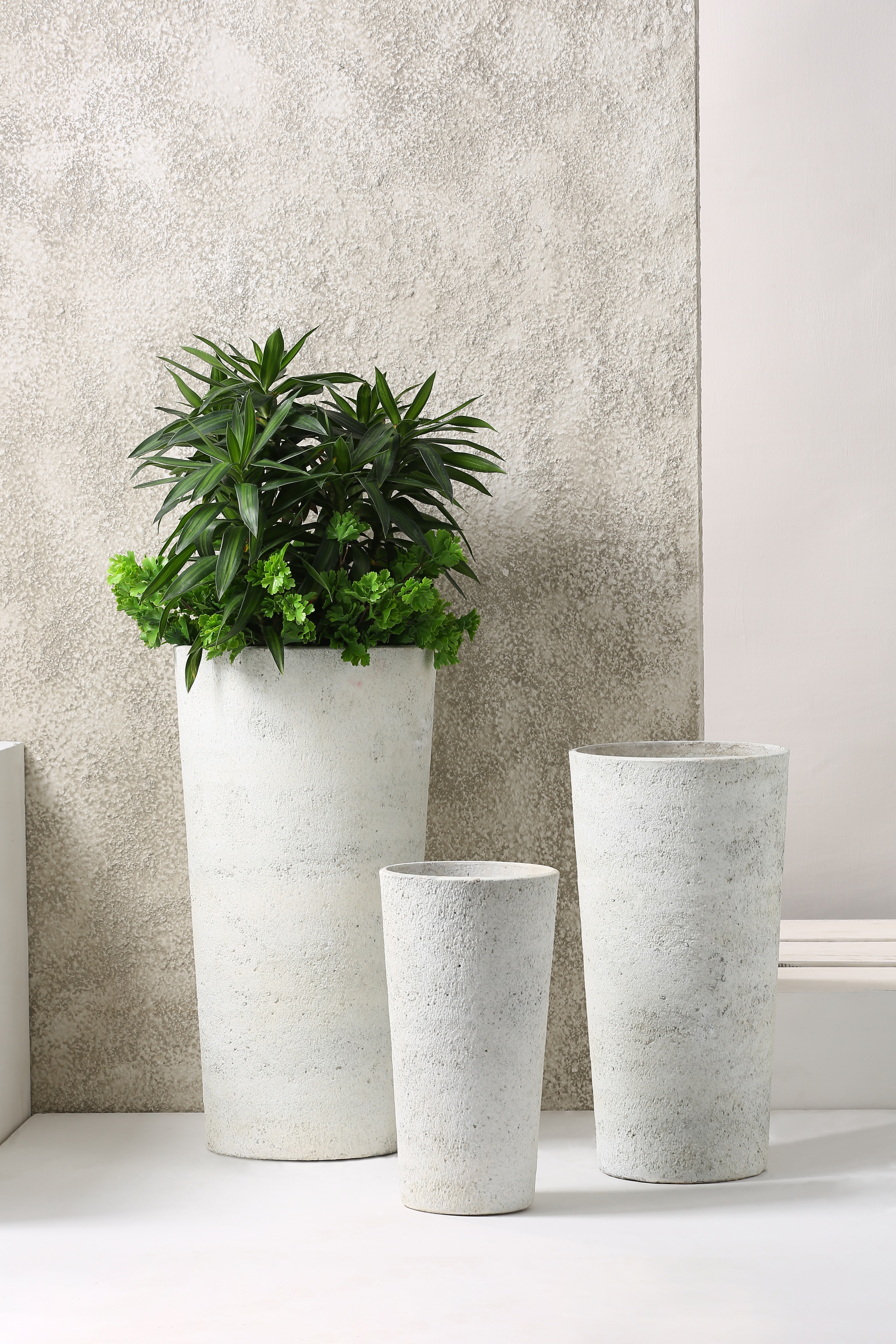 The Farmer's Daughter Collection 2025 21