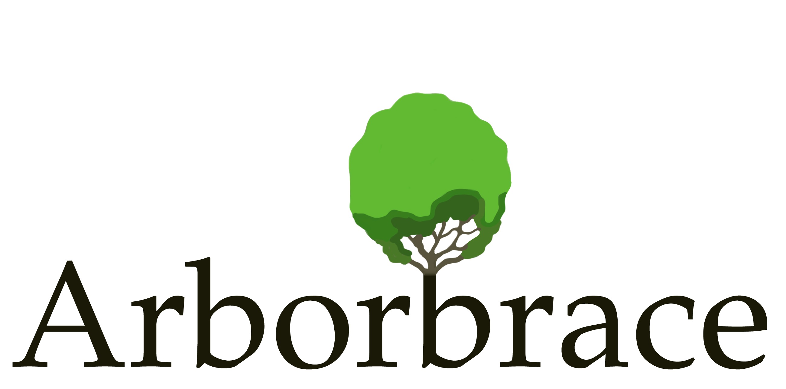Arborbrace Staking Systems, Inc.