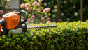 Pruning – Do’s and Don’ts from 30 Years in the Landscape | KC 184