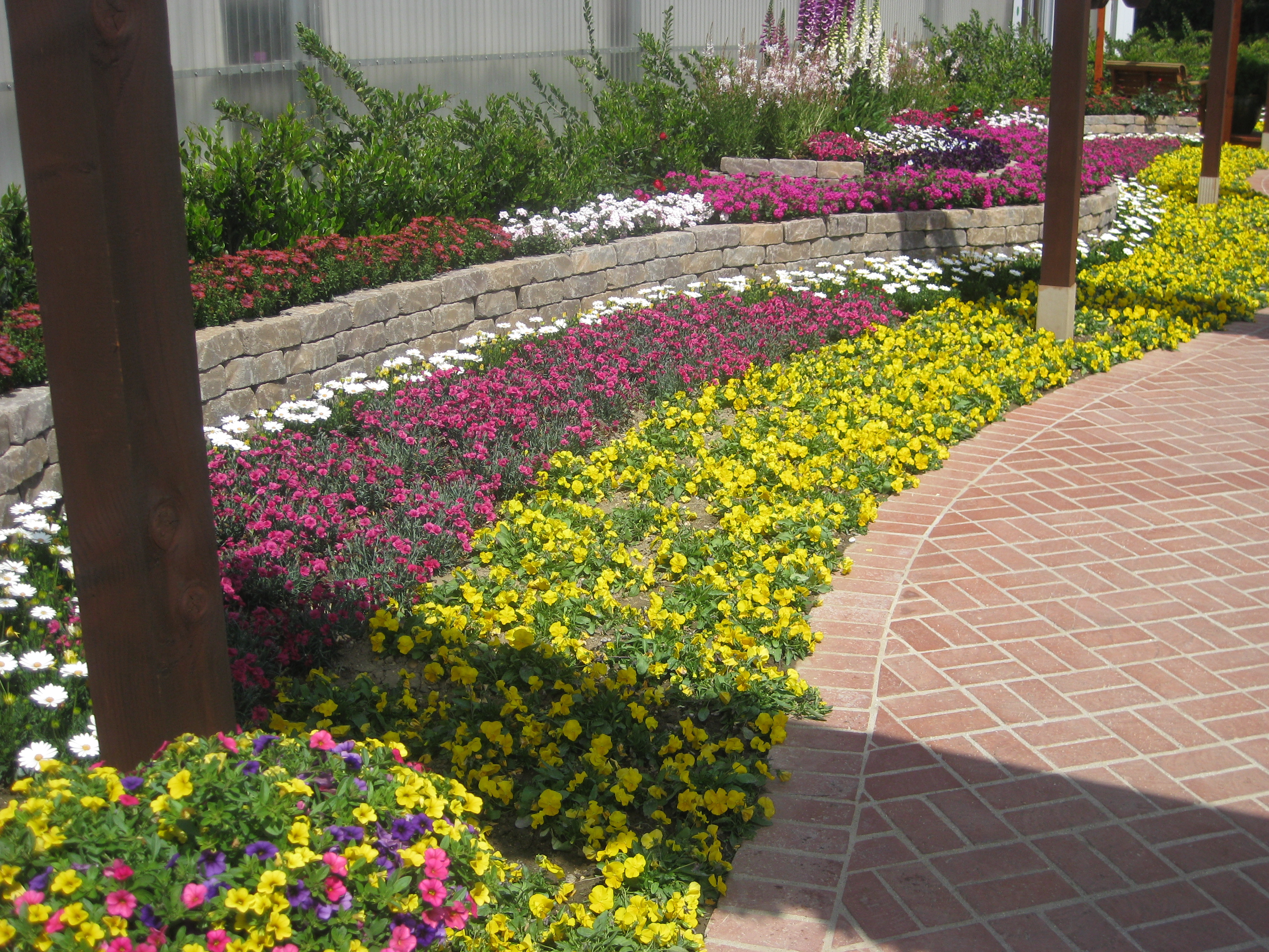 What’s New for 2026: Fresh Plant Introductions & Design Trends Shaping the Landscape Industry | KC 191