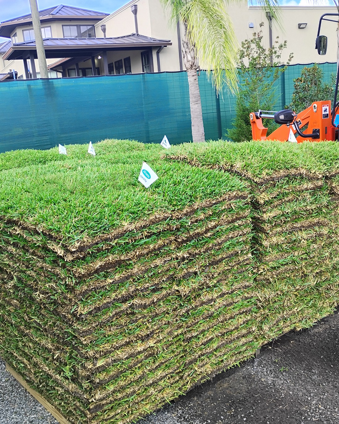 St. Augustine sod 120