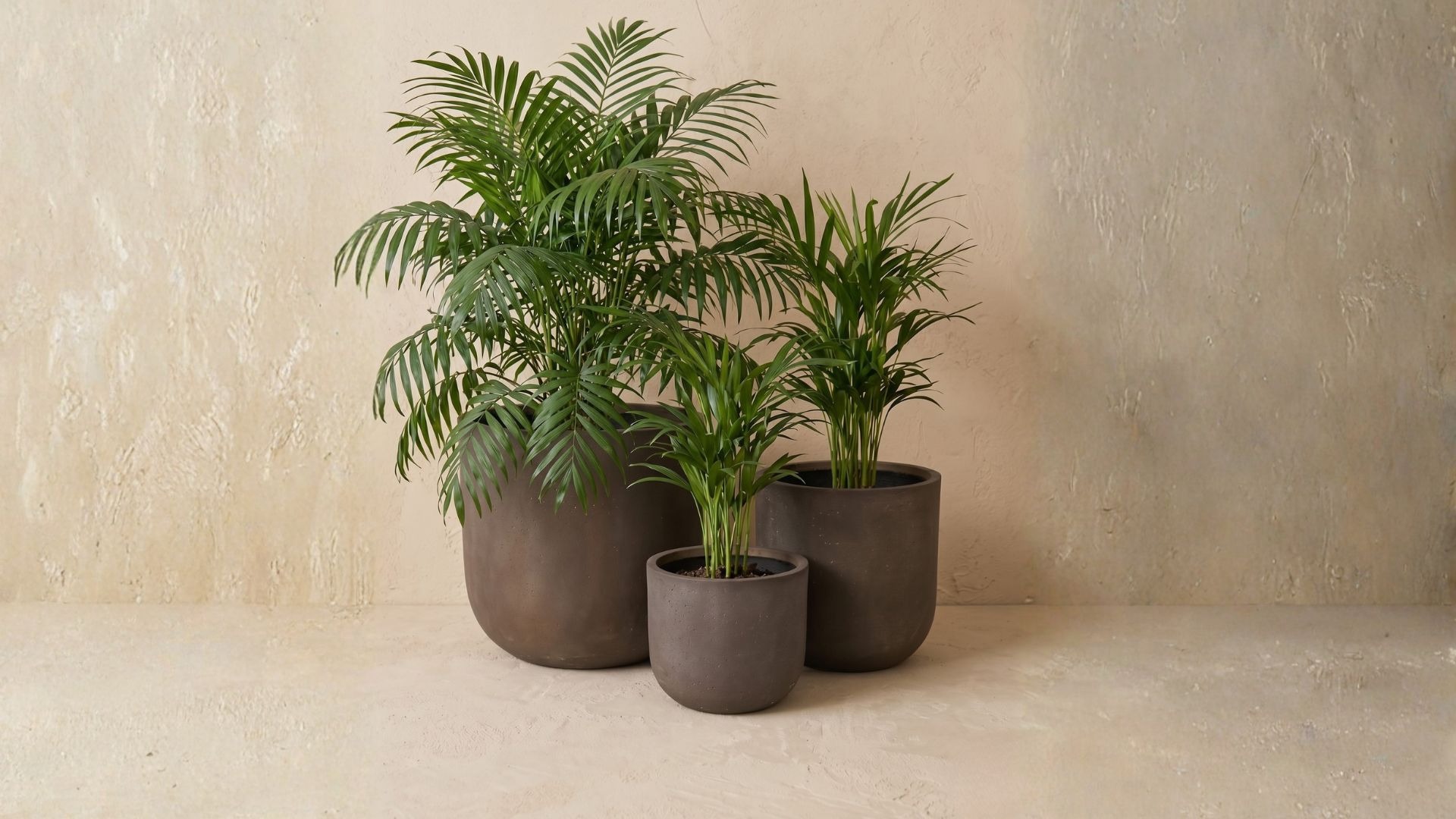 Wholesale Luxury Planters & Garden Accessories 45