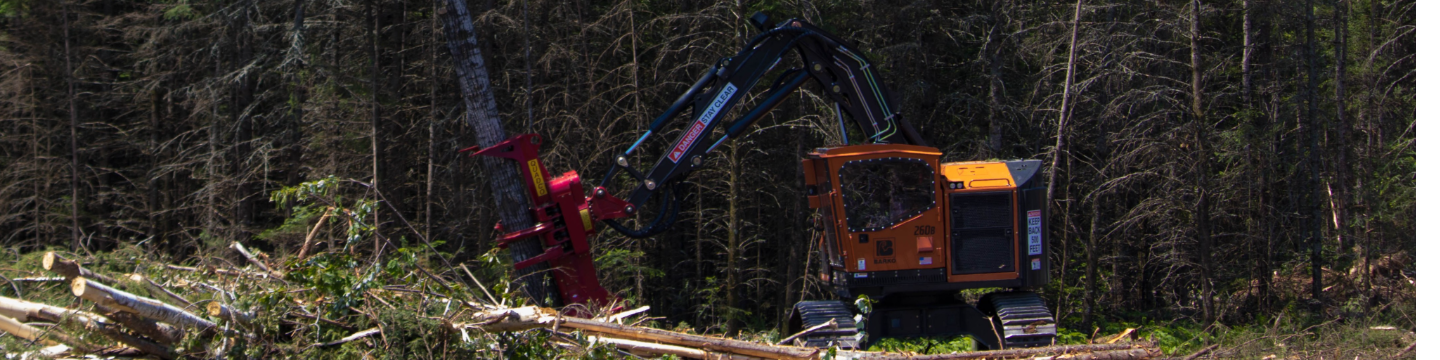 GOLDEN RULE EQUIP 89