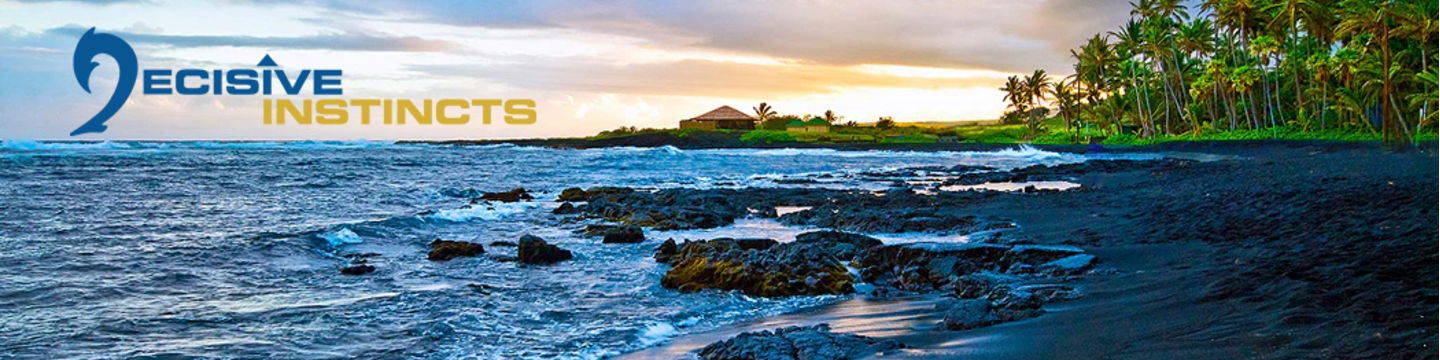 DecisiveInstincts LLC. 180