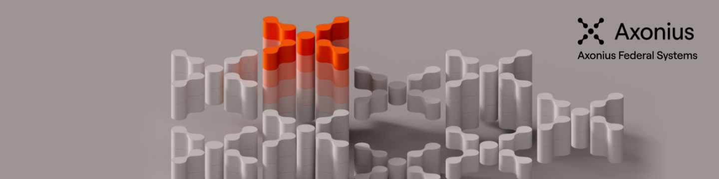 Axonius Federal Systems LLC 338