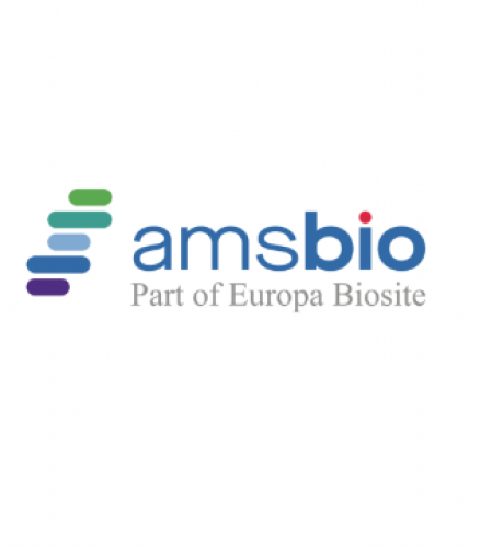 AMSBIO LLC 278