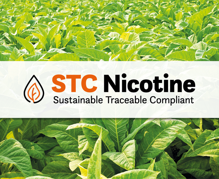 STC Nicotine Manufacturing 264