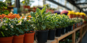 From Browsing to Buying: The Art of Garden Merchandising 204