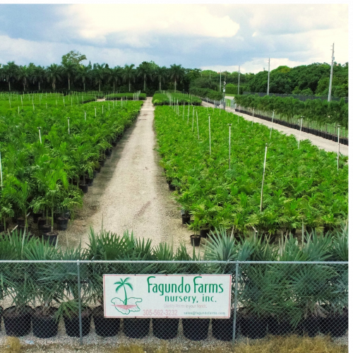 Fagundo Farms Nursery, Inc. 120