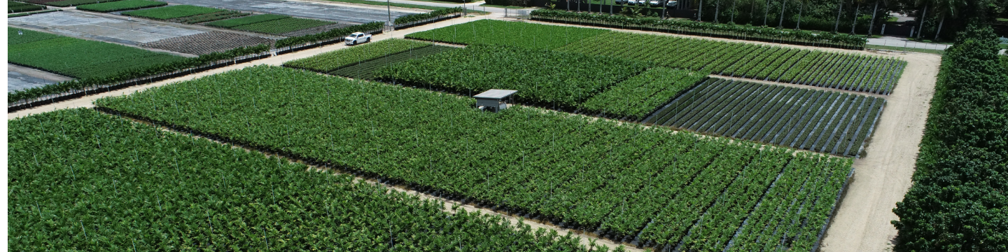 Fagundo Farms Nursery, Inc. 120