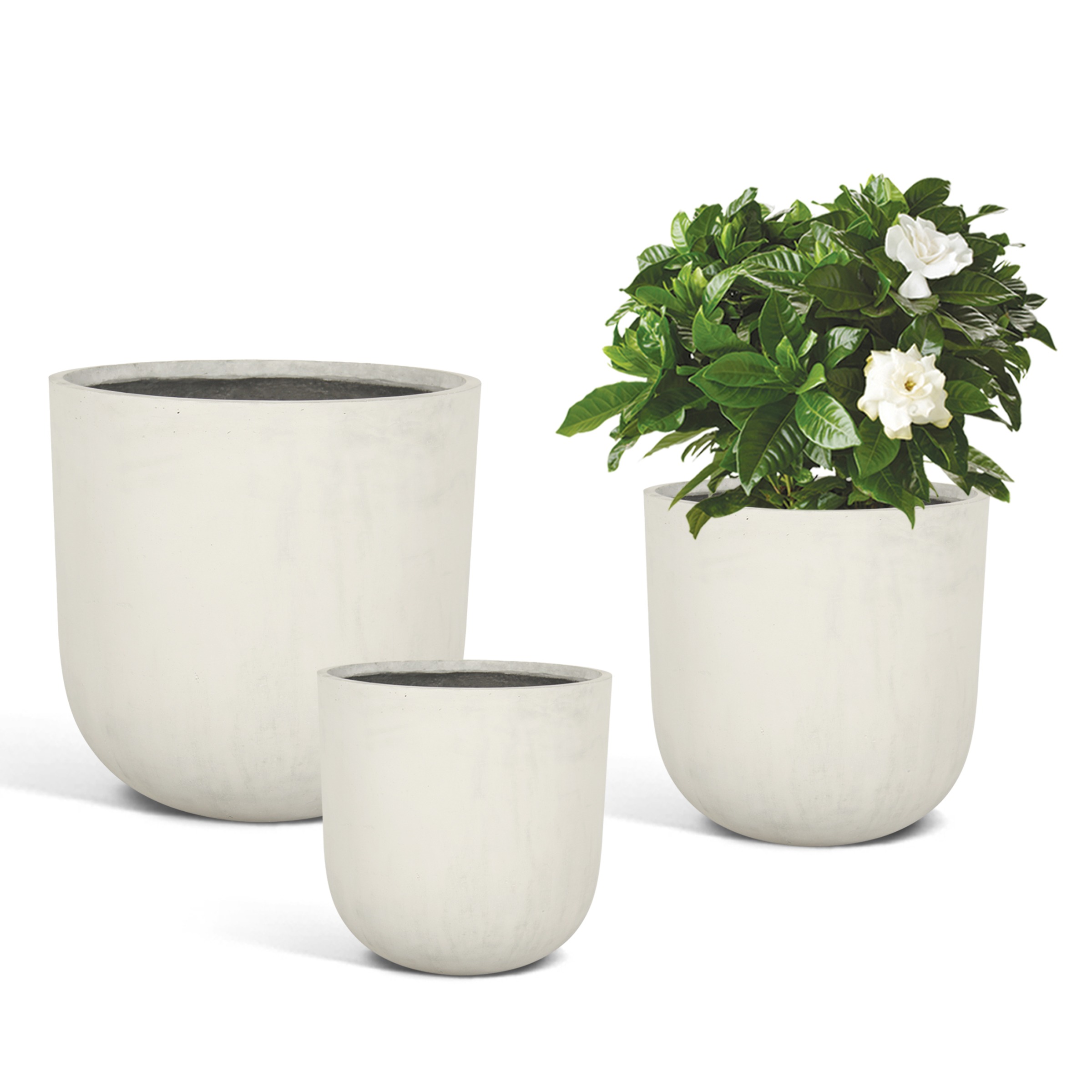 The Farmer's Daughter Collection 2025 31