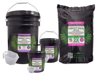 Perfect Palm fertilizer 310
