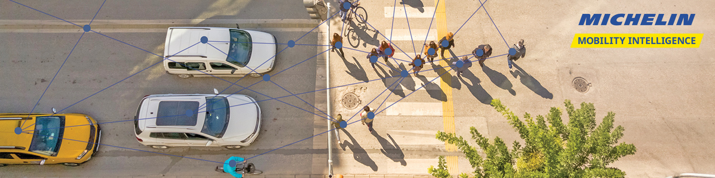 Michelin Mobility Intelligence 252
