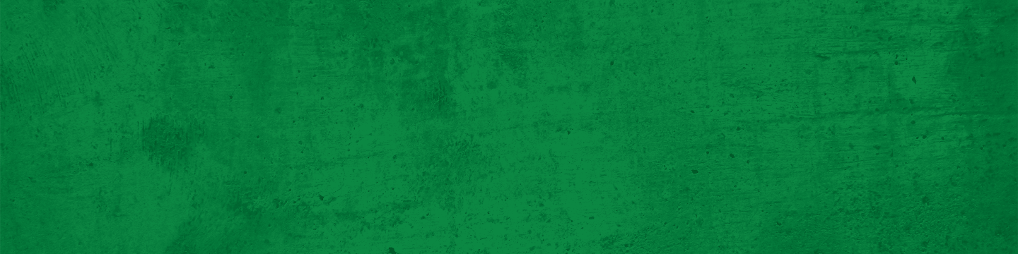 Vector Corrosion Technologies 55