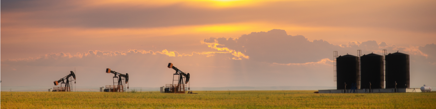 Newland Steel Corporation 40