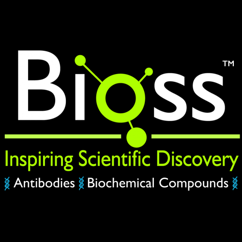 Bioss Antibodies 199