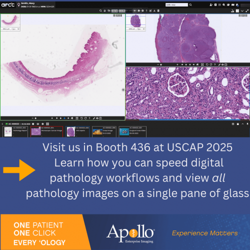 Apollo Enterprise Imaging Corp 203