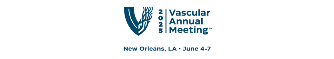 VAM 2025