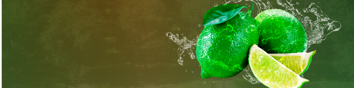 EV Produce International INC. 41