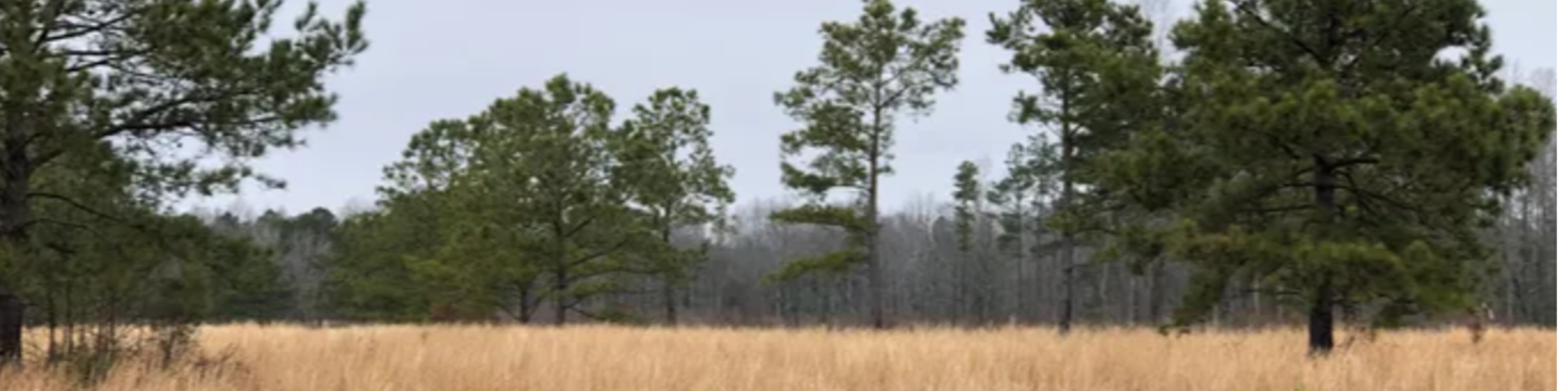 C Pierce Farms Shooting preserve 63