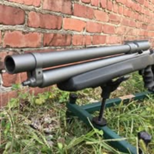 Air Guns of Virginia 75