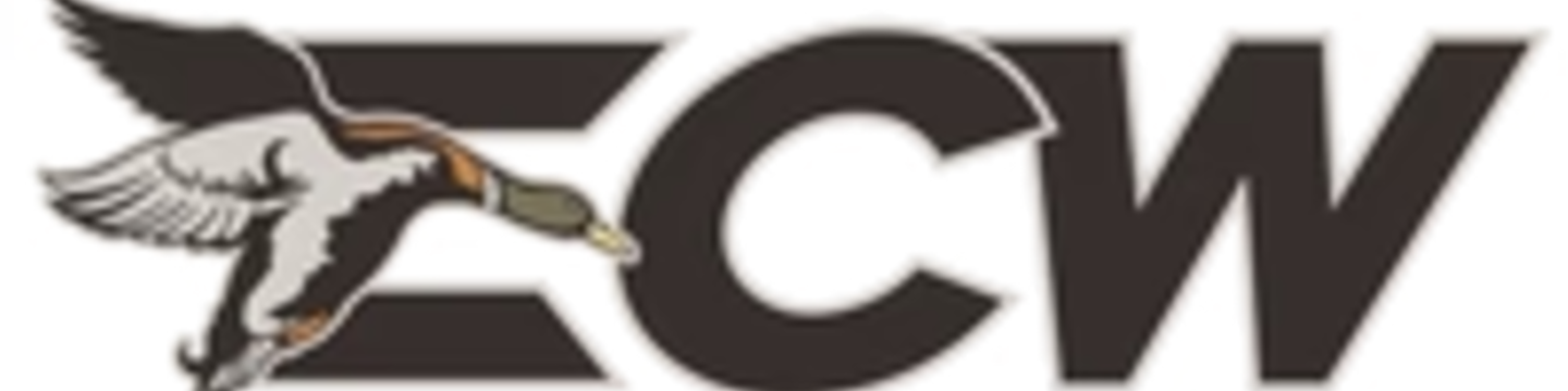 East Coast Waterfowl 85