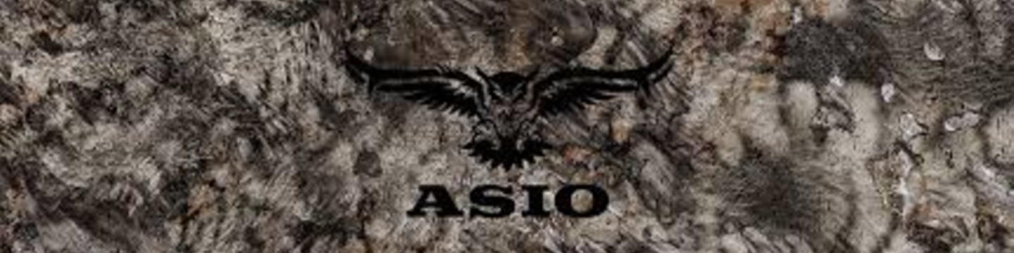Asio Gear 95