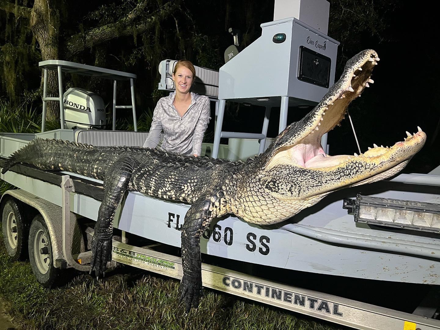 Public Land trophy Gator Hunt 70