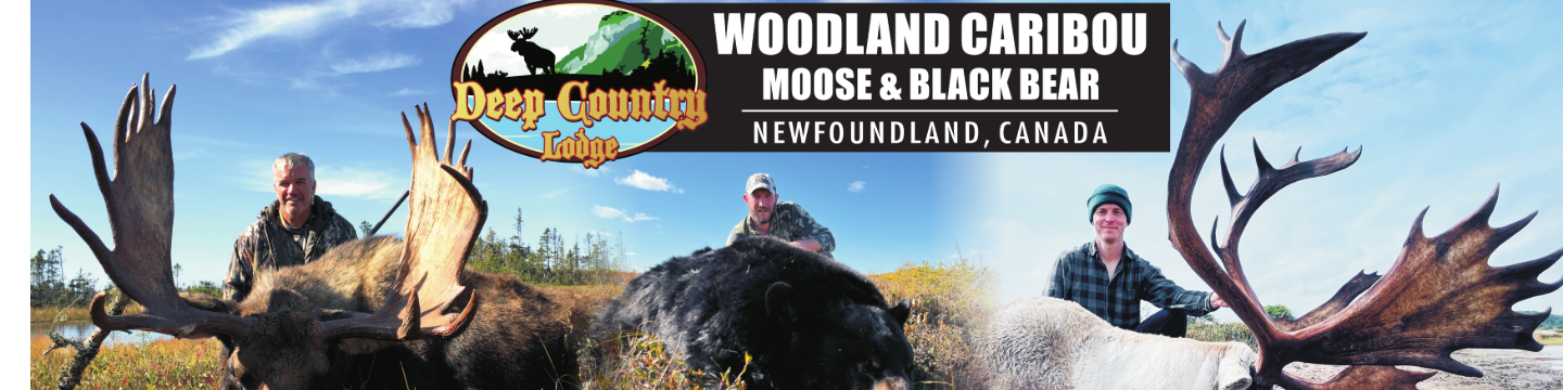 Deep Country Lodge - Newfoundland 276