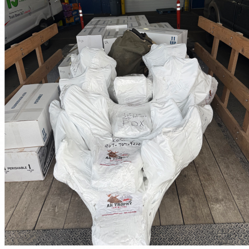 AK Trophy Expediters 617