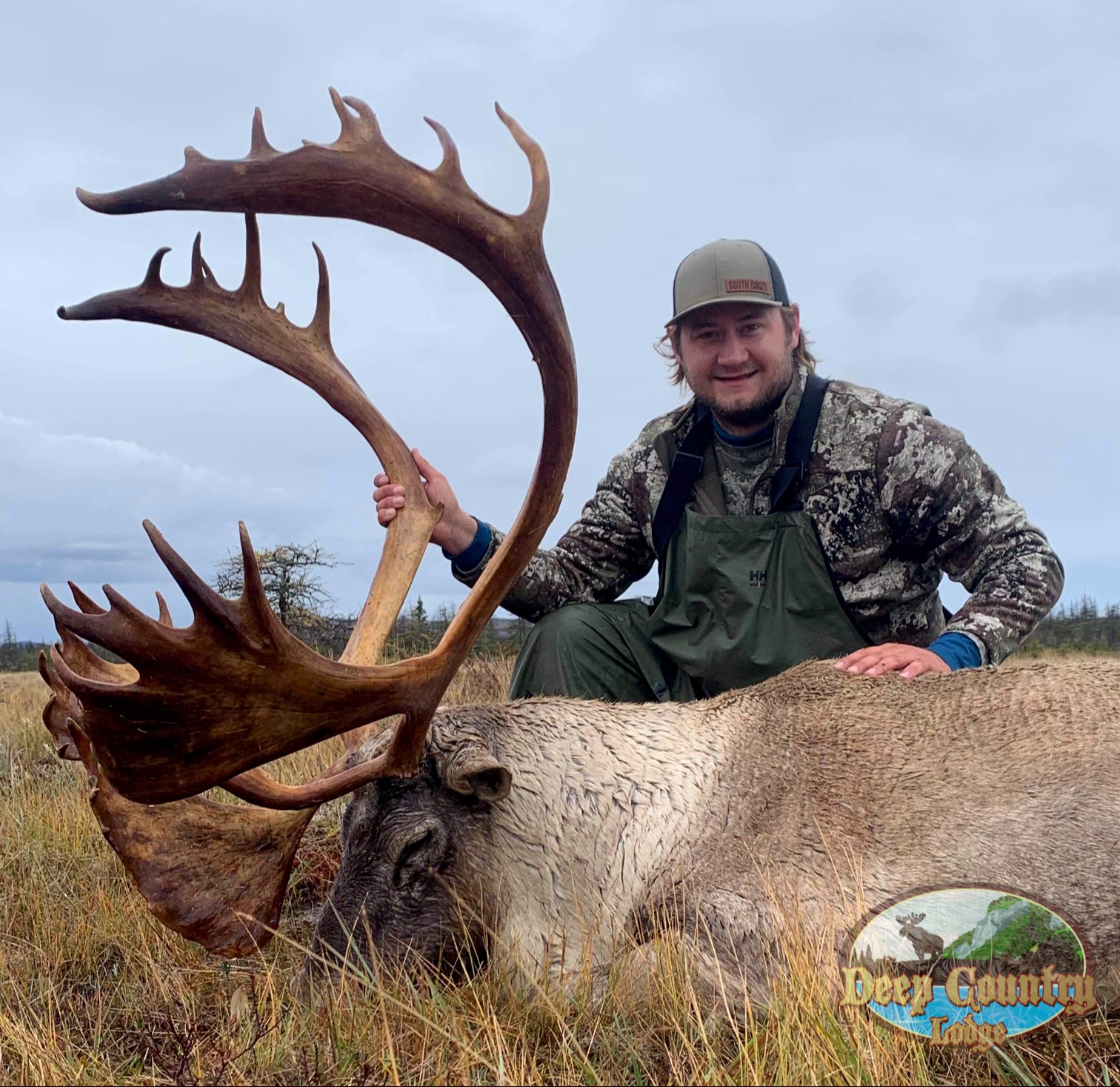 Trophy Woodland Caribou Newfoundland Canada 26