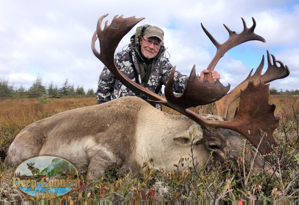 Trophy Woodland Caribou Newfoundland Canada 27