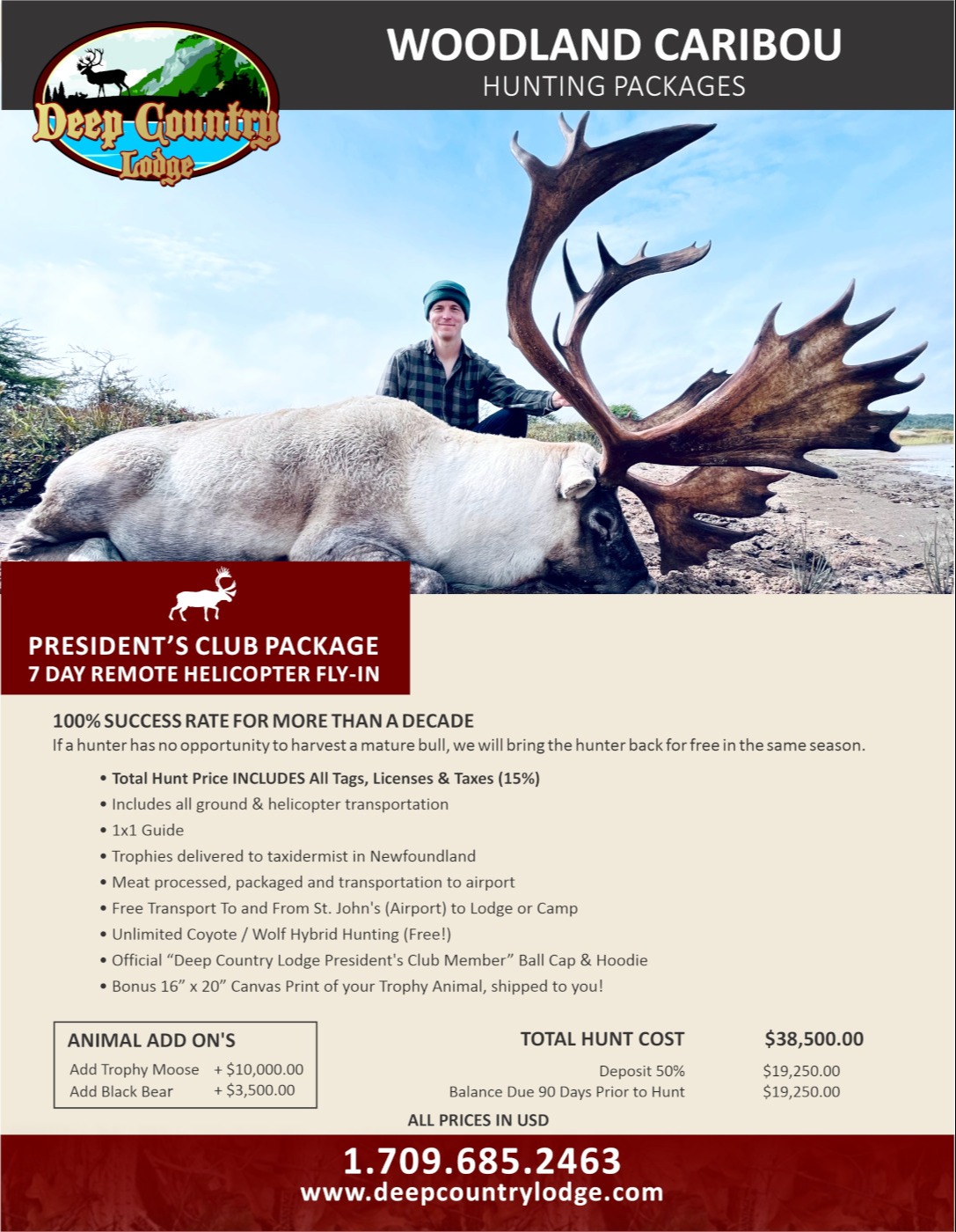 Free Black Bear Tag! 31