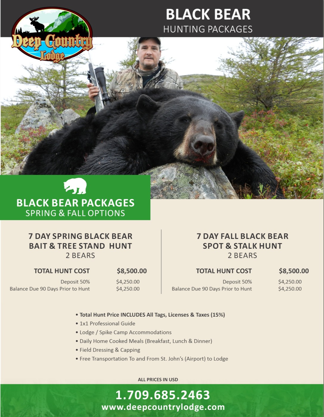 Free Black Bear tag with eastern Canadian Moose hunt! 32