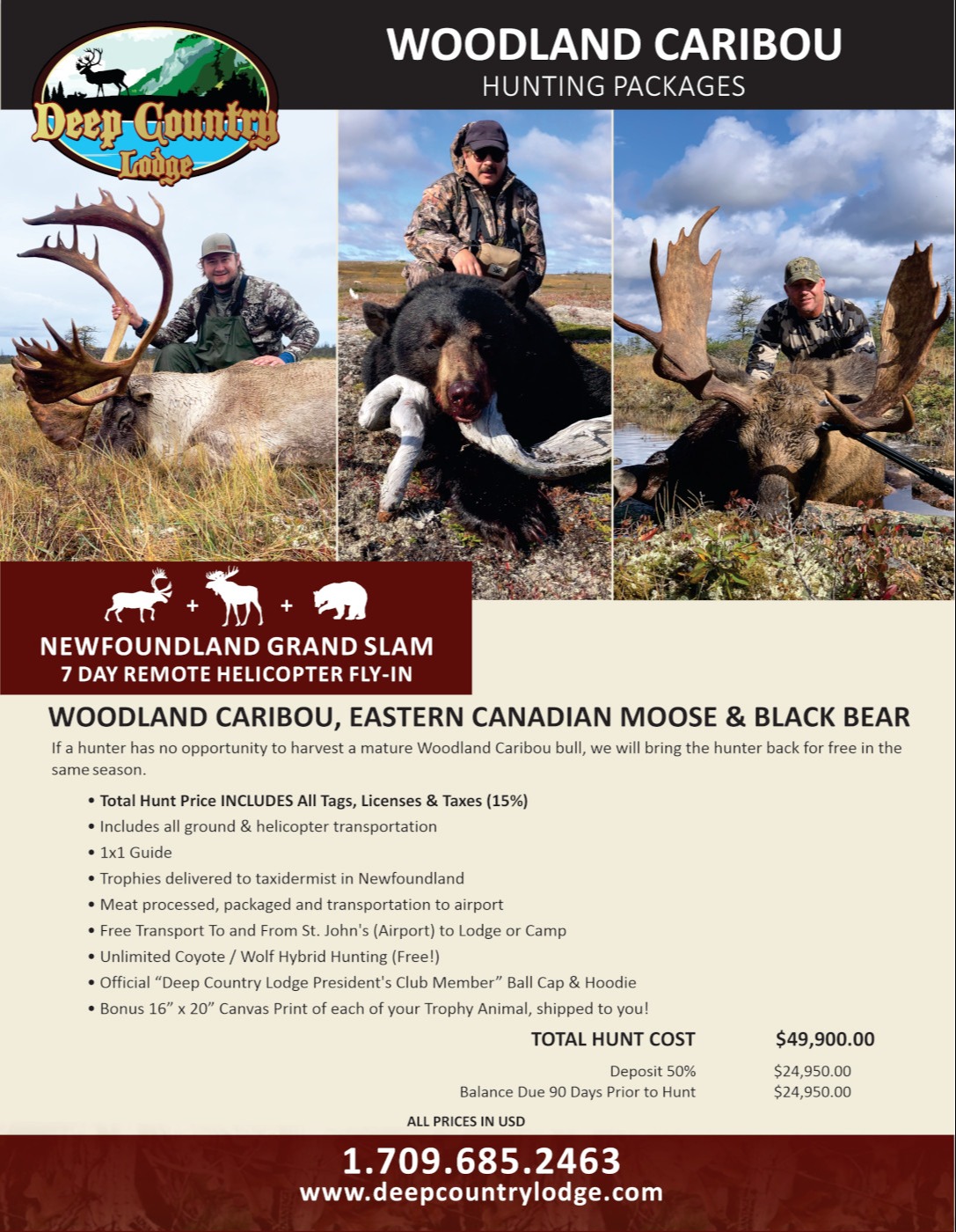 Newfoundland Grand Slam! Wodland Caribou Eastern Canadian Moose & Black Bear 33